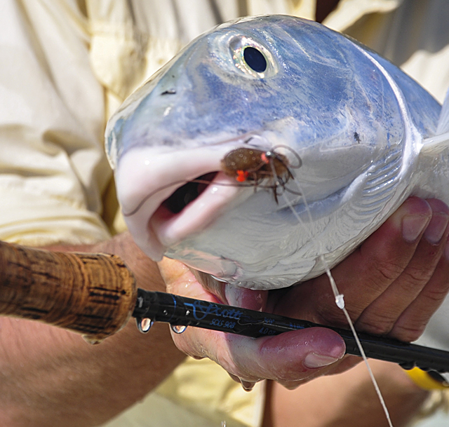 Fliegenfischen auf Bonefish