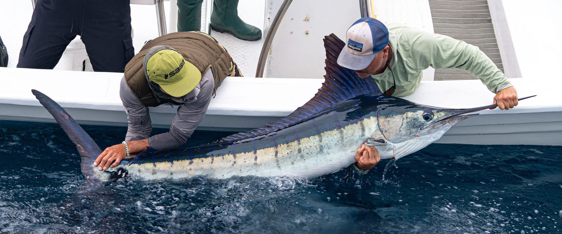 Weißer Marlin beim Fliegenfischen