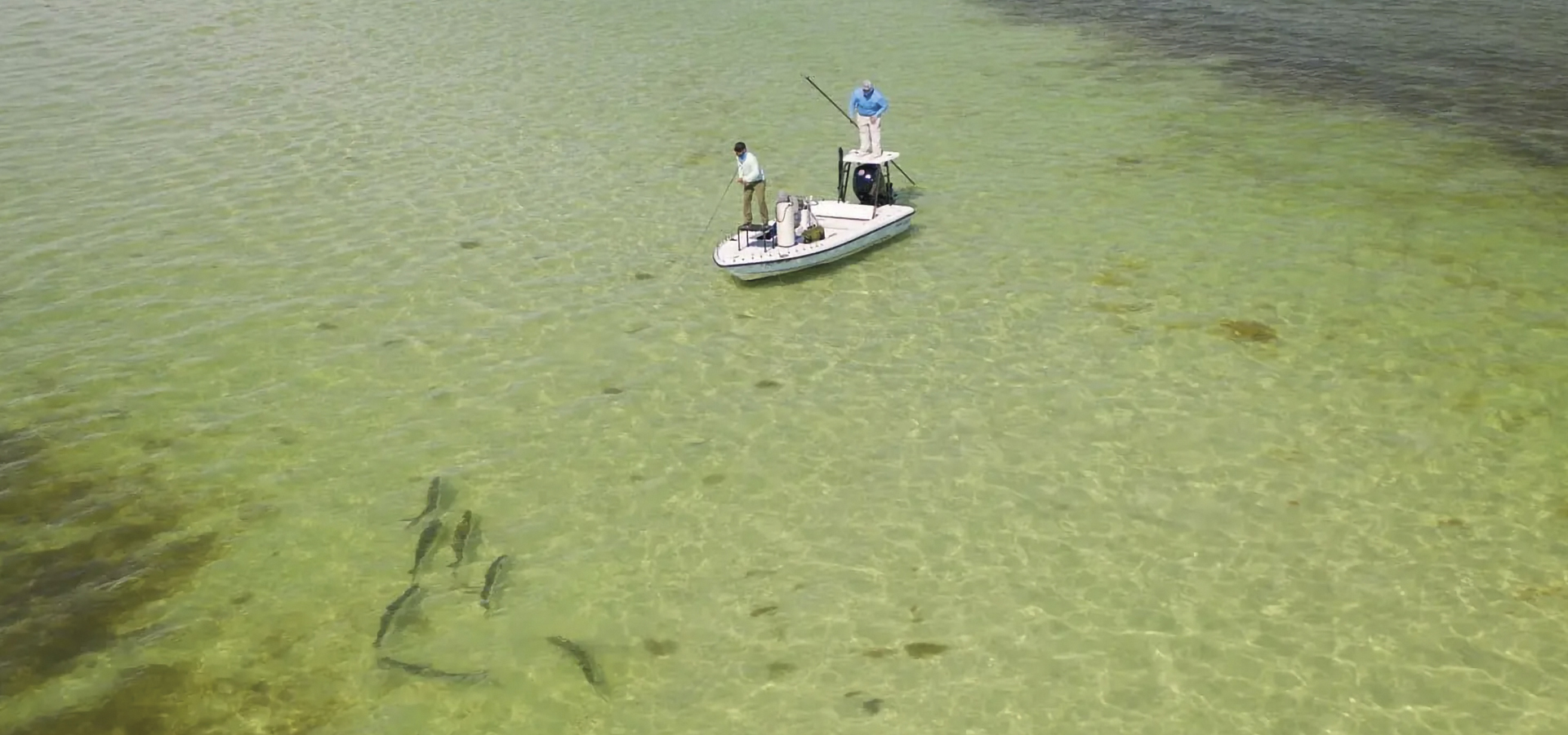 Tarpon Challenge