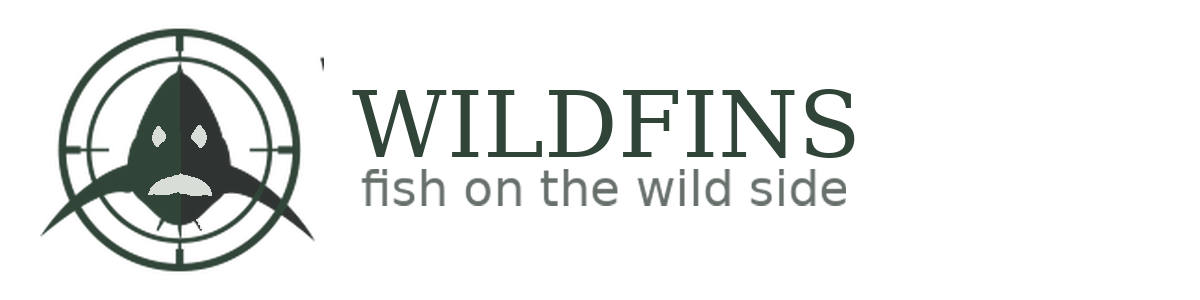 WILDFINS – fish on the wild side
