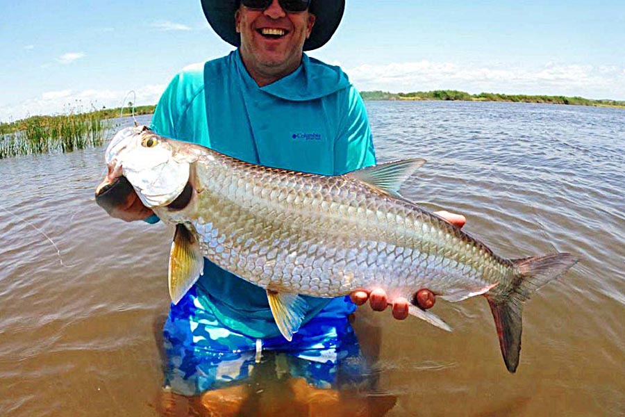 African Beaches Tarpon