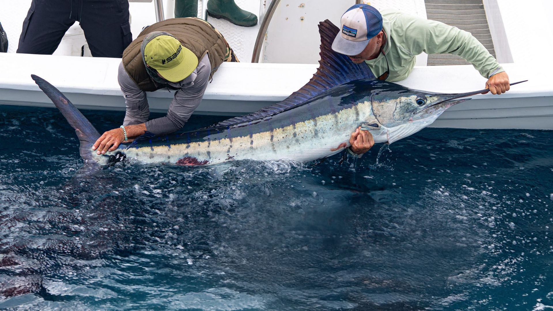 Marlinfischen mit der Fliege 
