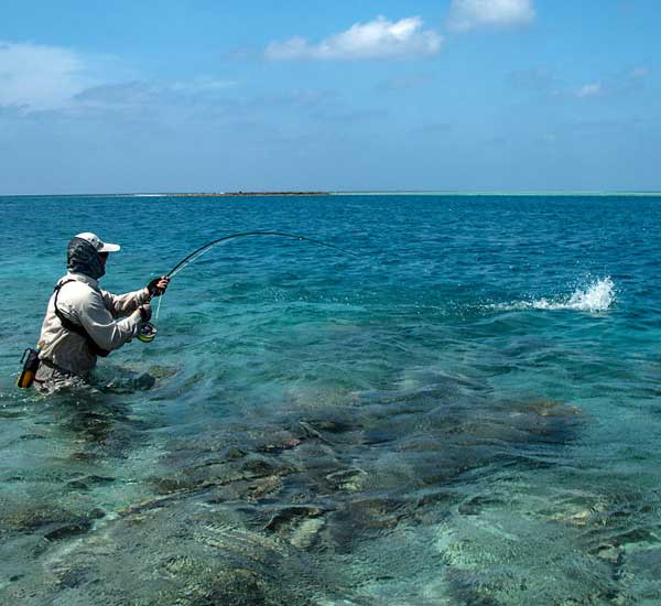 Föiegenfischen im Salzwasser