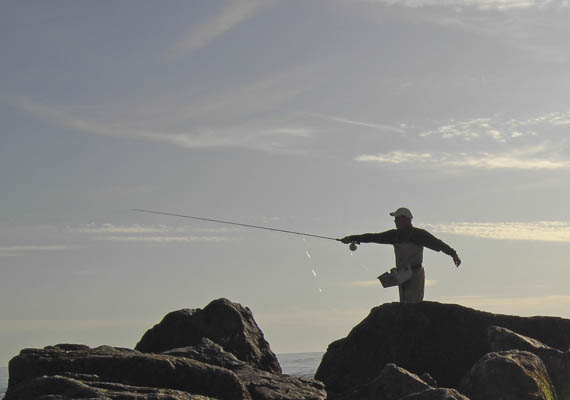 Kurs Salzwasser Fliegenfischen