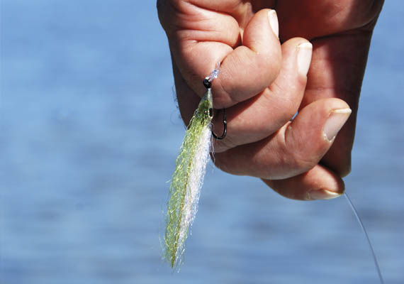 So fängt man Thunfische mit der Fliege