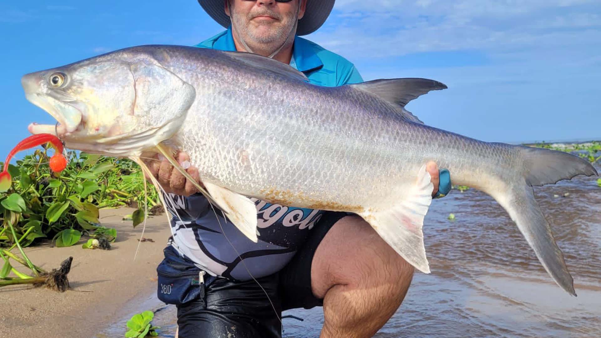Fliegenfischen und Popperfischen an der Küste von Westafrika 