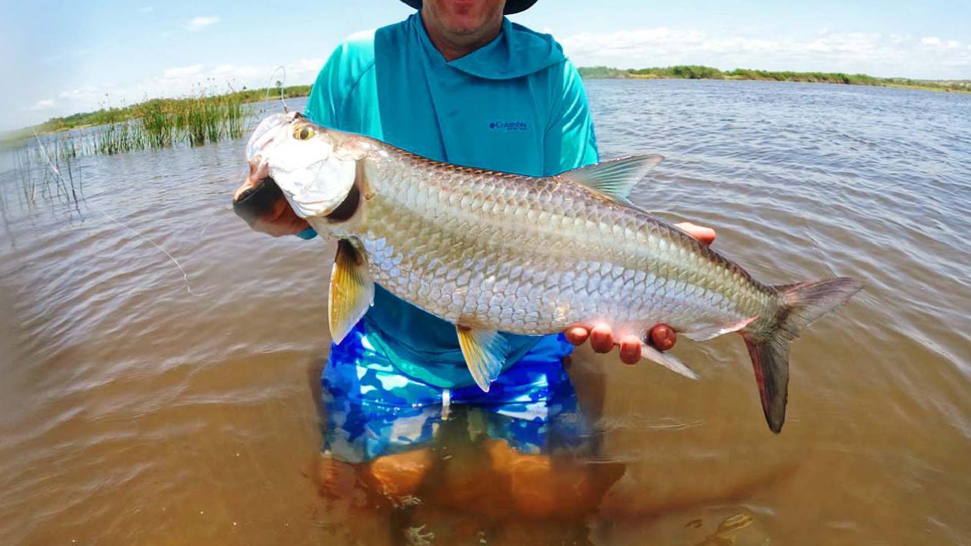 Fliegenbfischen auf Tarpon in Afrika 