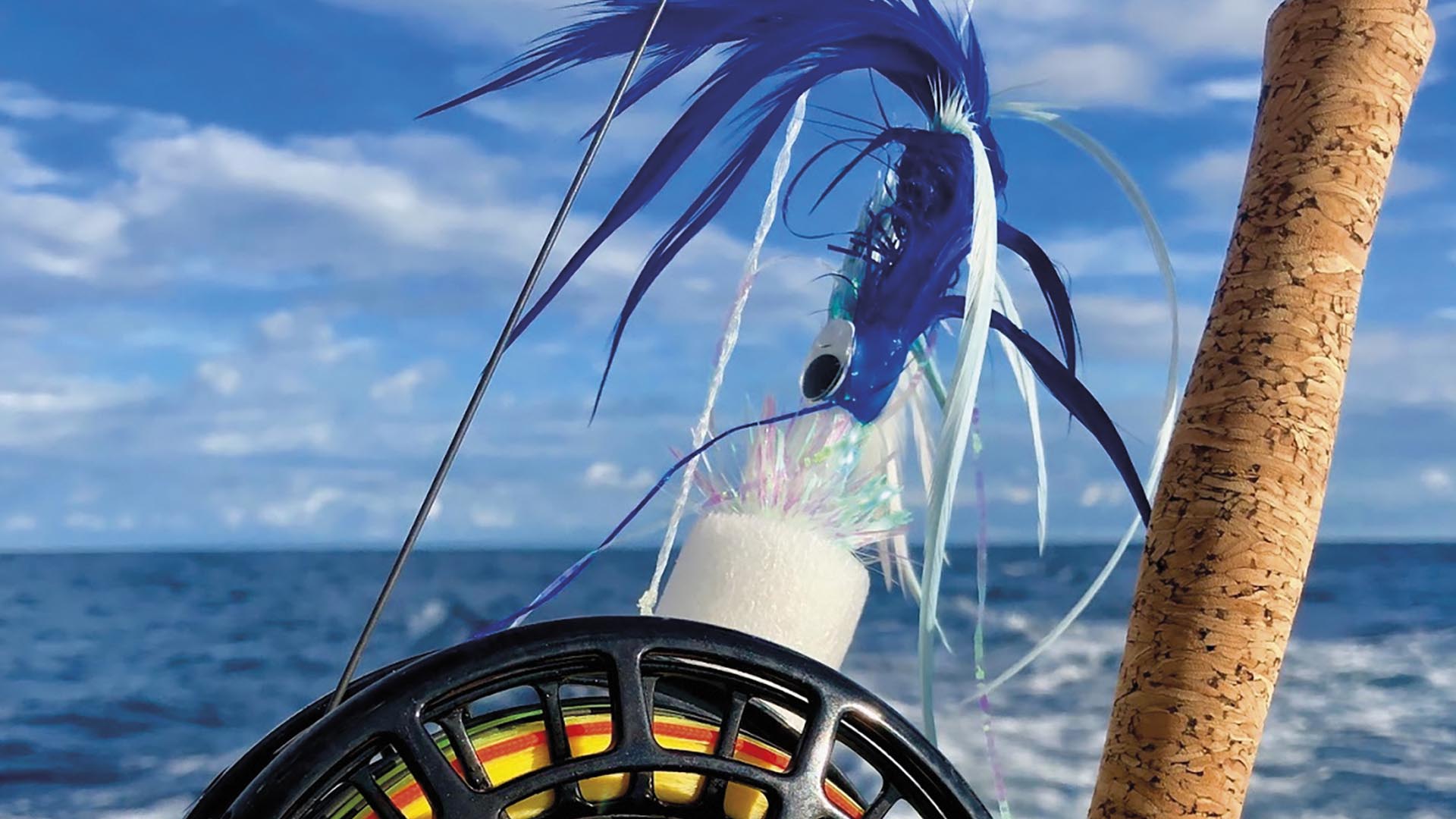 Fliegenfischen auf Segelfisch