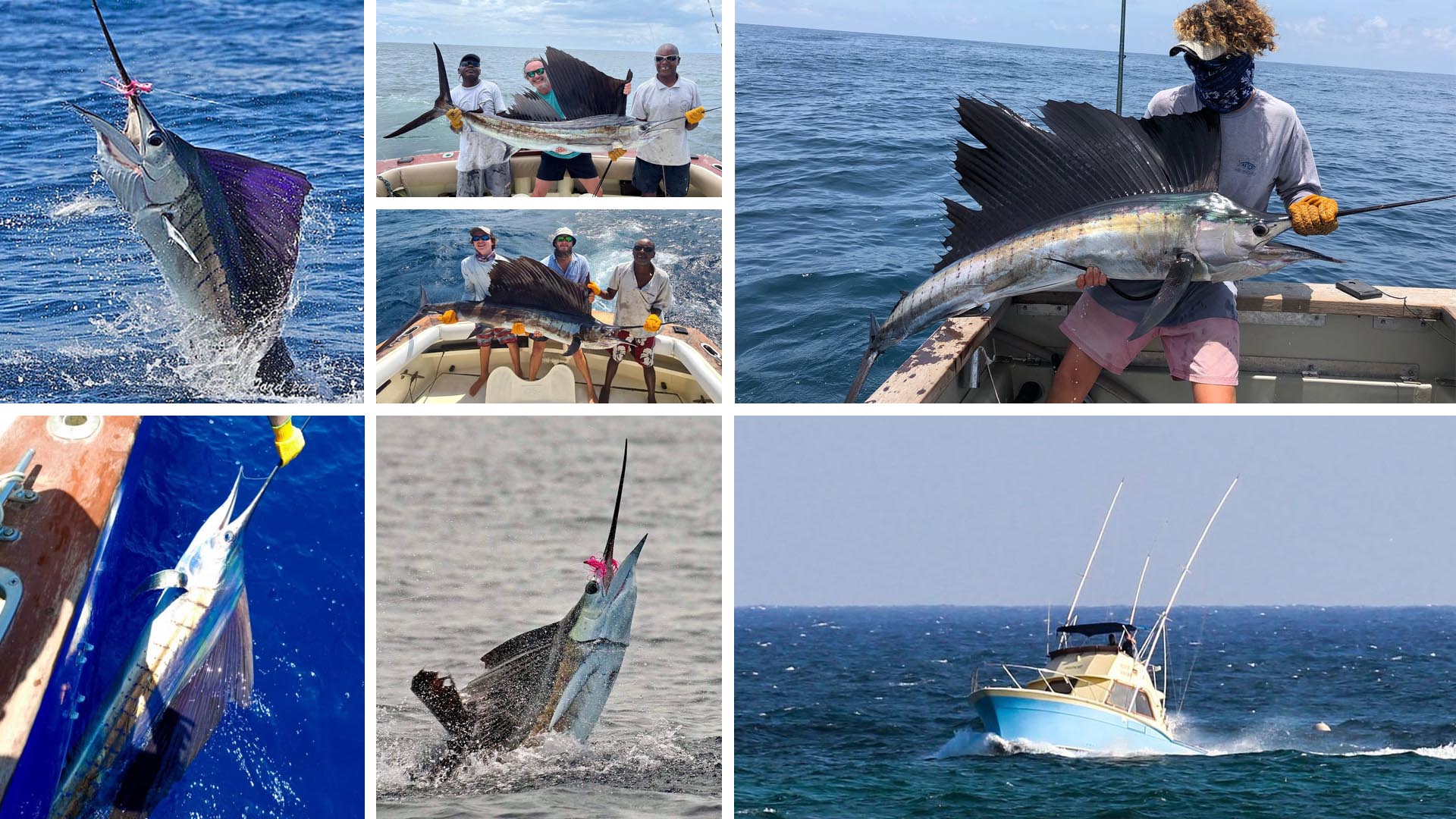 Offshore Fliegenfischen auf Segelfisch