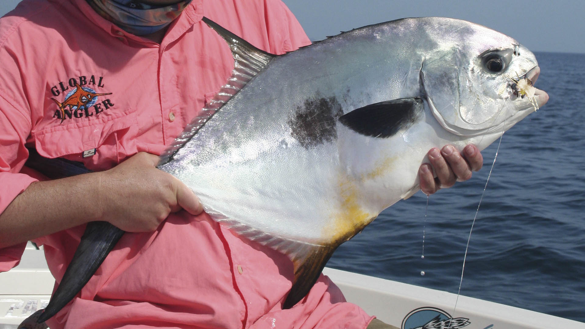 Fliegenfischen auf Permit