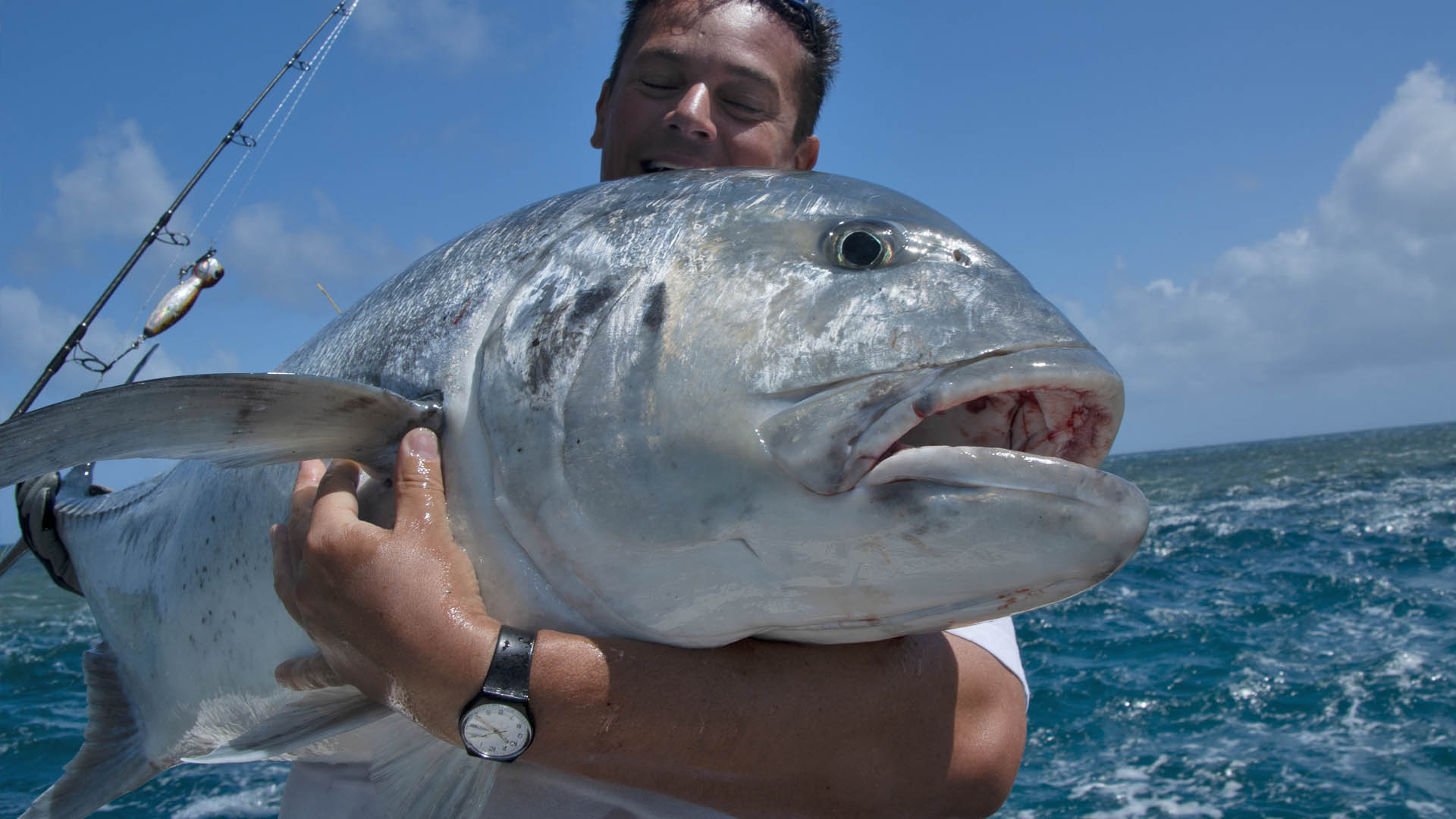 Popperfischen auf GT 